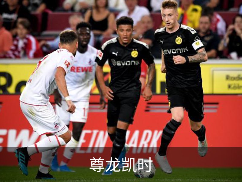 走进尊龙凯时